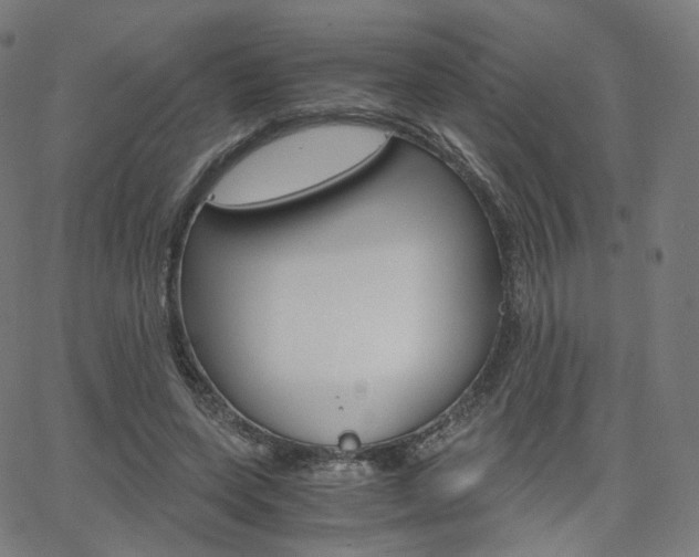 X0000063500543200601201029