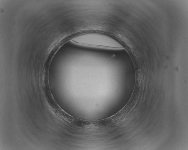 X0000063500544200601201029