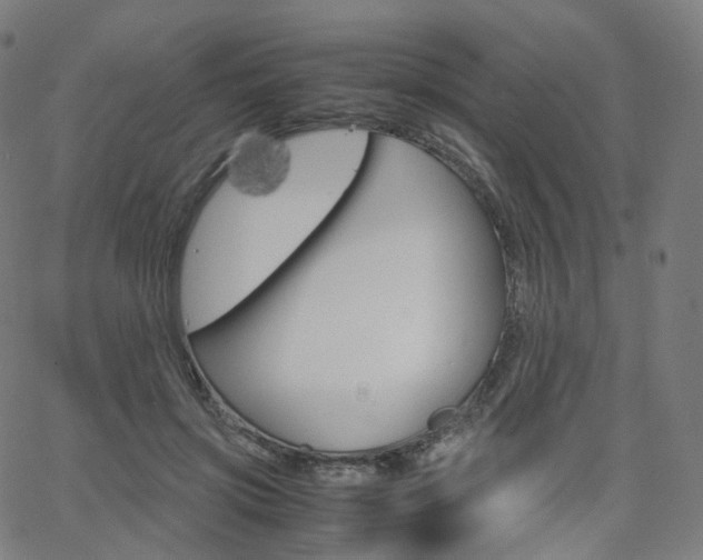X0000063500549200601201029