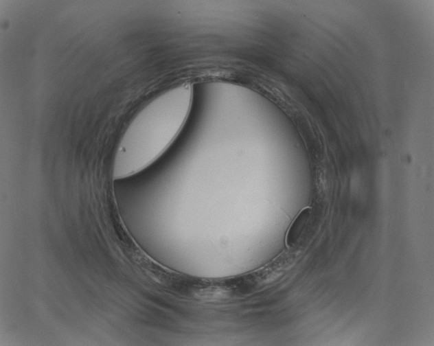 X0000063500551200601201029