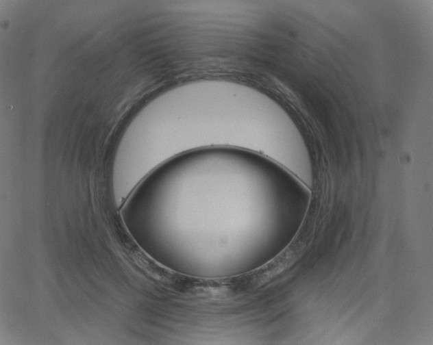 X0000063500552200601201029