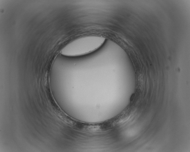 X0000063500554200601201029