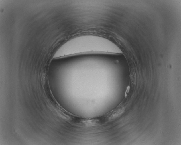 X0000063500558200601201029