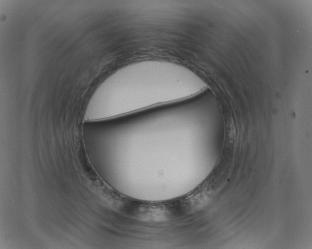 X0000063500559200601201029