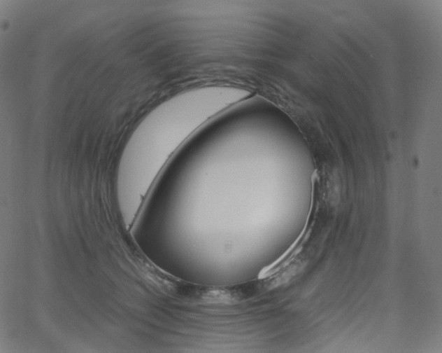 X0000063500562200601201029