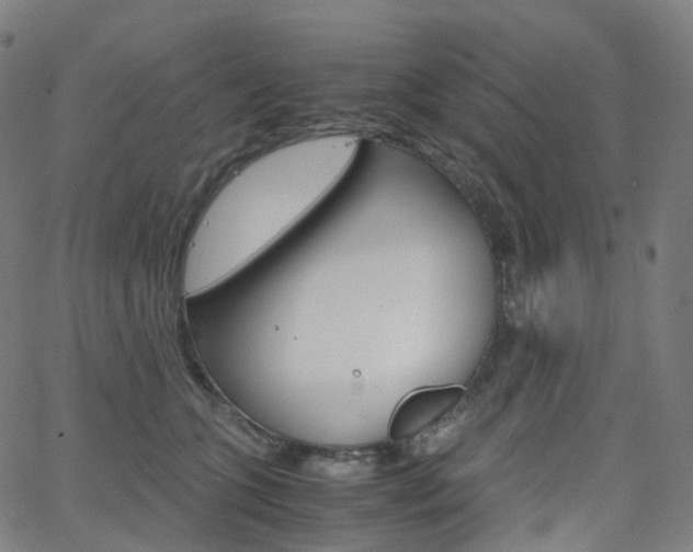 X0000063500563200601201029