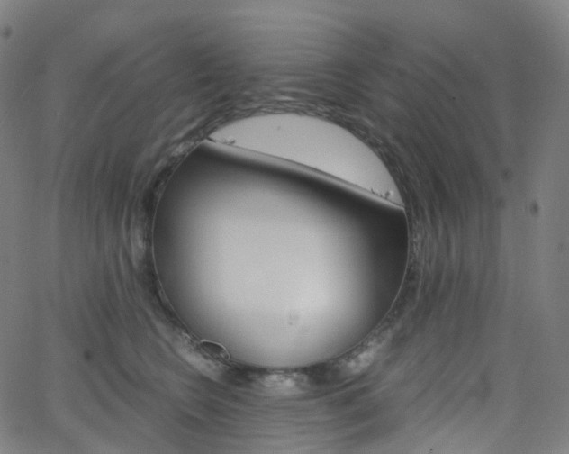 X0000063500566200601201029