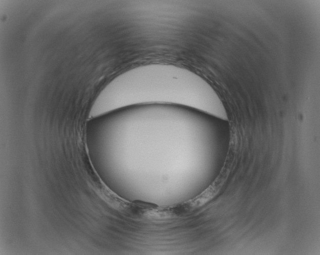 X0000063500568200601201029