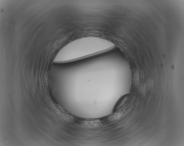 X0000063500571200601201029