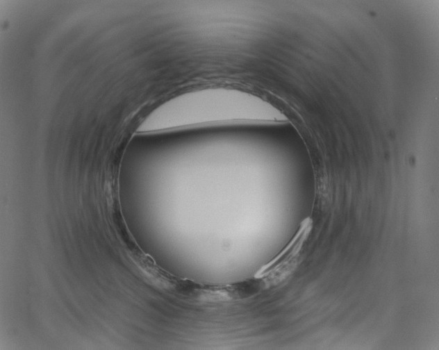 X0000063500572200601201029