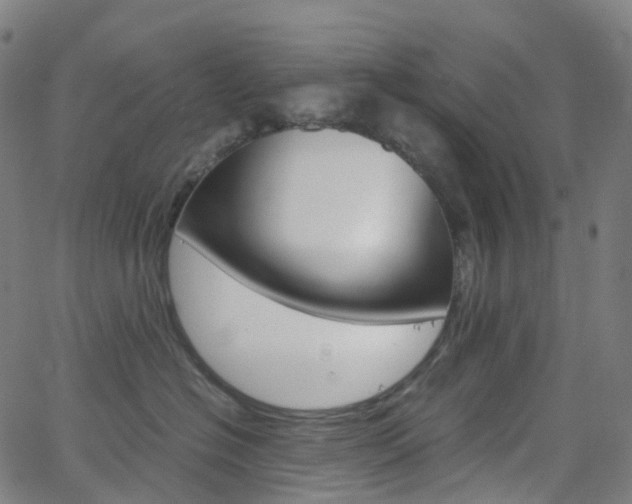 X0000063500574200601201029