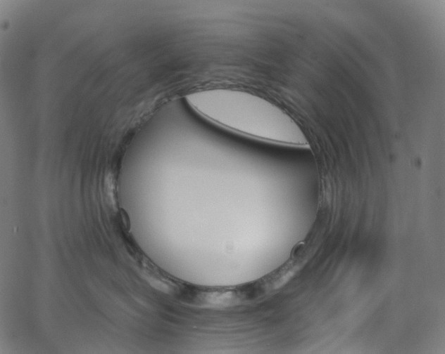 X0000063500575200601201029