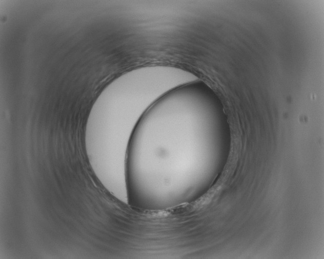 X0000063500576200601201029