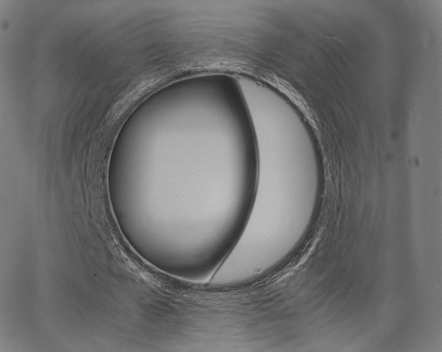 X0000063500577200601201028
