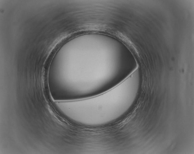 X0000063500580200601201028