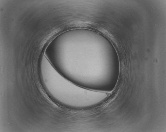 X0000063500581200601201028