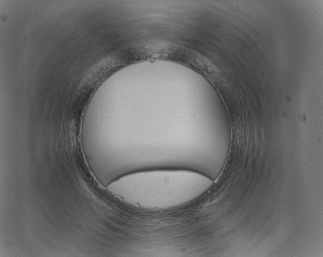 X0000063500594200601201028