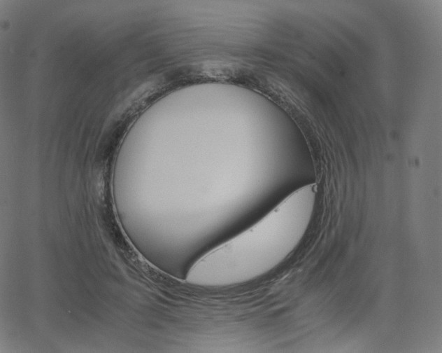 X0000063500595200601201028