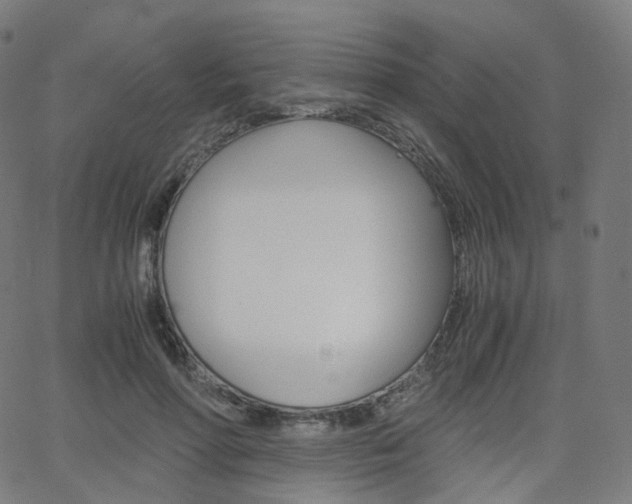 X0000063500598200601201028