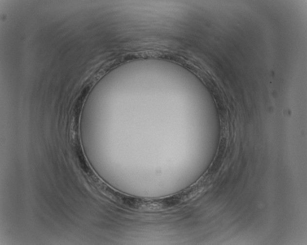 X0000063500599200601201028
