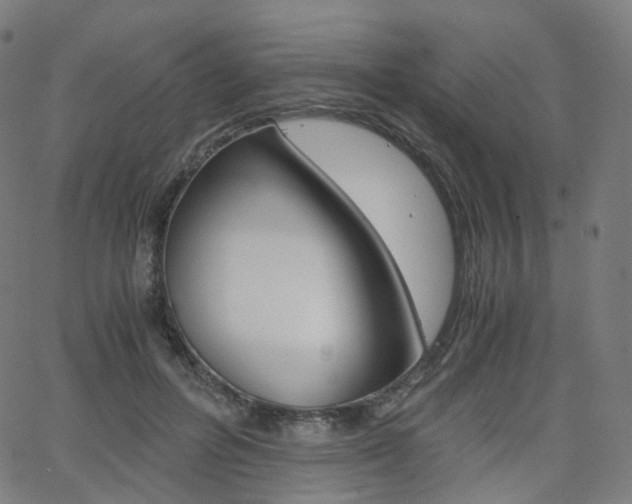 X0000063500600200601201028