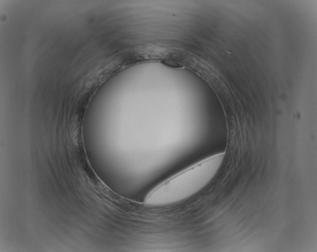 X0000063500604200601201028