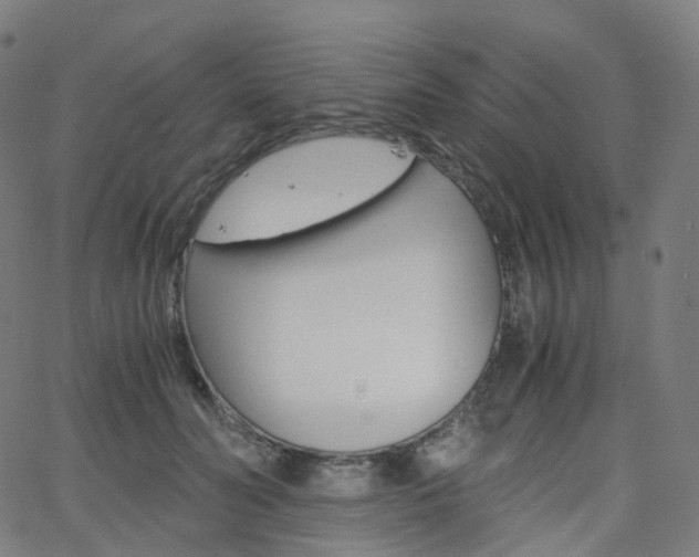 X0000063500606200601201028