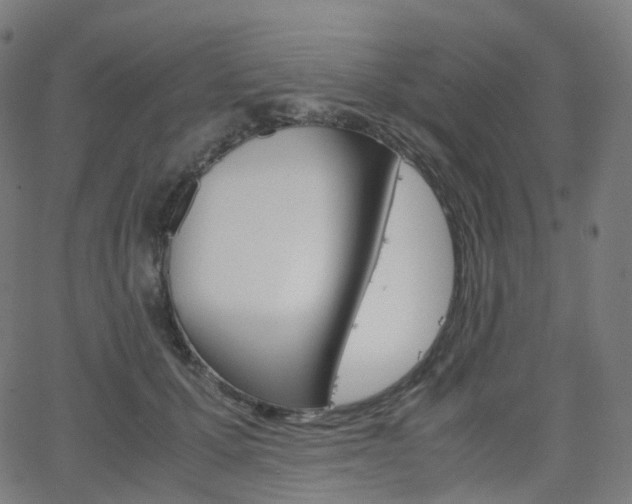 X0000063500607200601201028