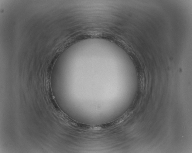 X0000063500609200601201028