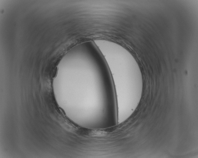 X0000063500617200601201028