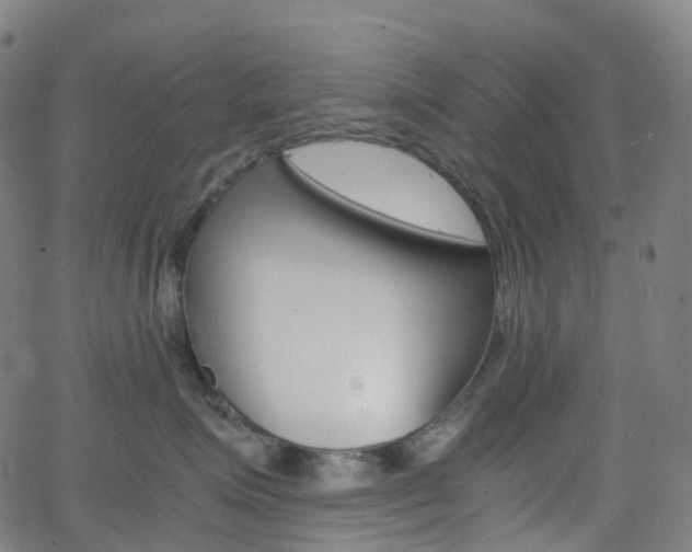 X0000063500623200601201028