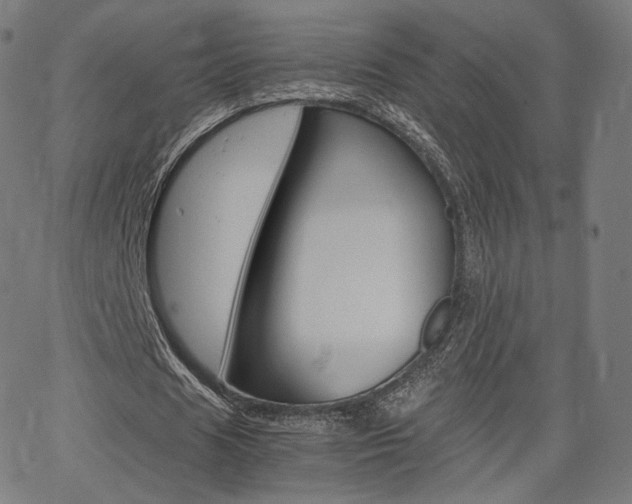 X0000063500625200601201027