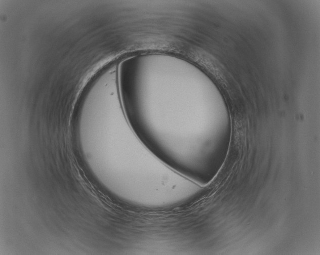 X0000063500628200601201027