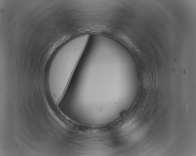 X0000063500634200601201027