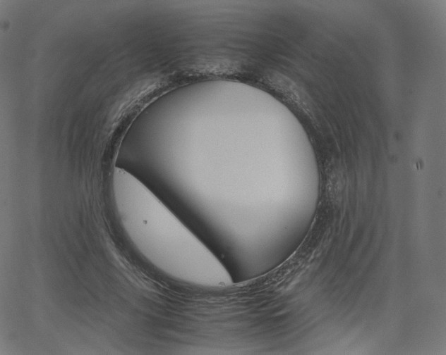 X0000063500635200601201027