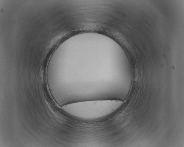 X0000063500636200601201027