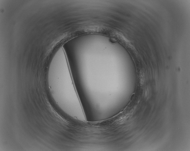 X0000063500637200601201027