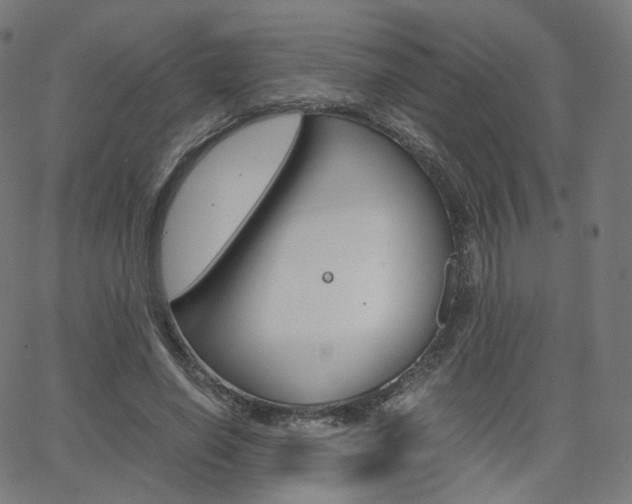 X0000063500638200601201027