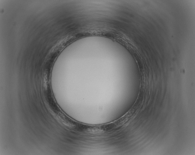 X0000063500644200601201027