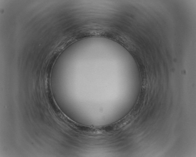 X0000063500646200601201027