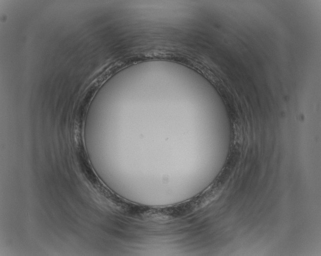 X0000063500648200601201027