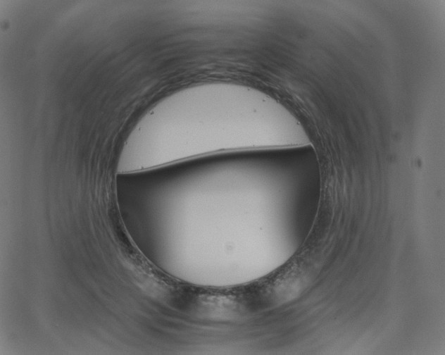 X0000063500649200601201027