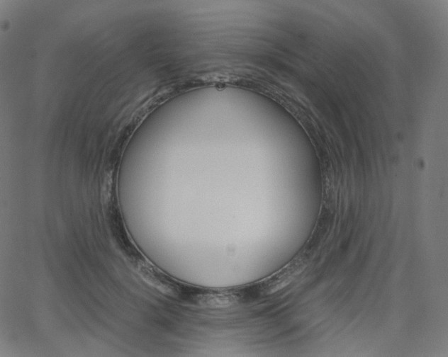 X0000063500652200601201027