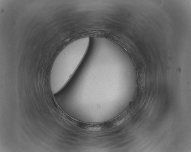 X0000063500653200601201027