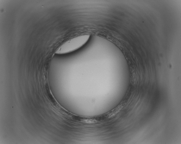 X0000063500654200601201027