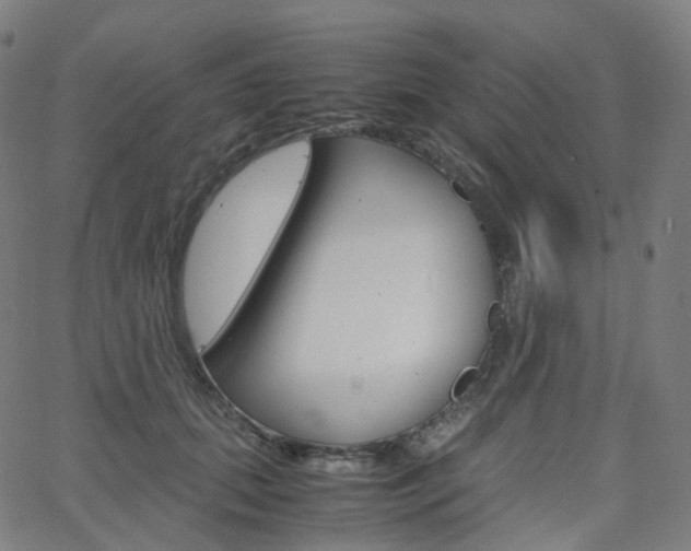 X0000063500655200601201027