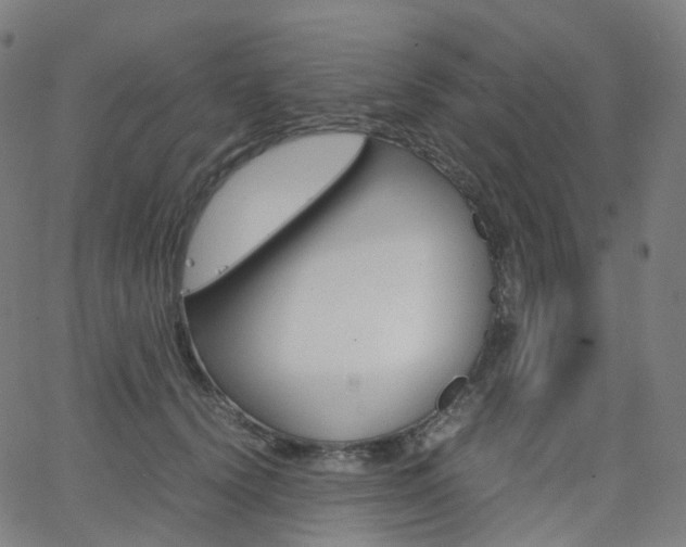 X0000063500656200601201027