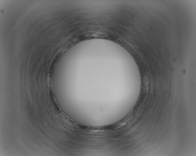 X0000063500657200601201027