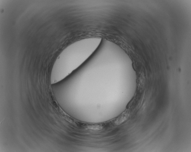 X0000063500659200601201027