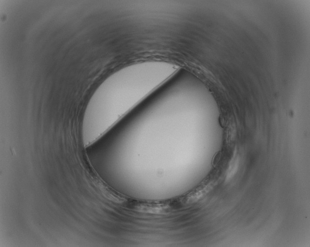 X0000063500661200601201027